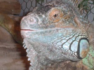 dscf0375.jpg