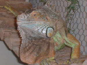 dscf0377.jpg